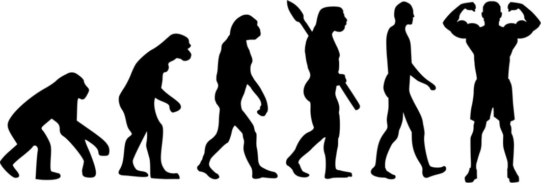 Bodybuilding Fitness Evolution