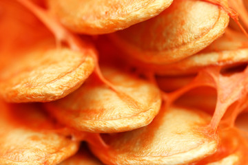 Close up of pumpkin (macro)