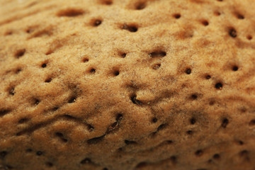 Close-up of almonds