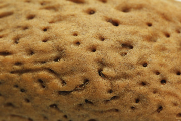Close-up of almonds