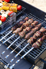 Skewers and vegetables on barbecue grill, close-up