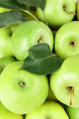 Ripe green apples close up