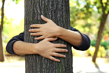 Person hugs trunk large tree, close-up