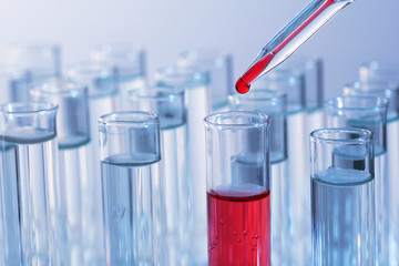 Test tubes on gray background