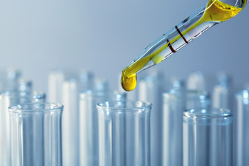 Test tubes on gray background