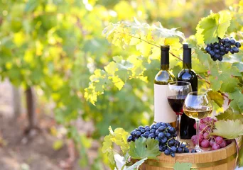 Poster Tasty wine on wooden barrel on grape plantation background © Africa Studio