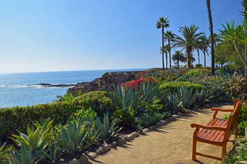 Laguna Beach Coastline & Gardens © rouda100