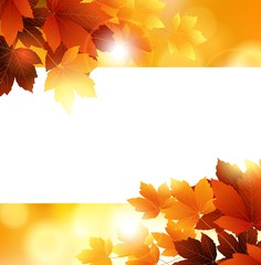 Naklejka na ściany i meble Autumn background with leaves and blank space for you design