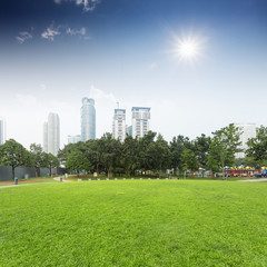 lawn and cityscape in city park