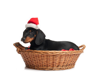 Waiting for Santa Claus