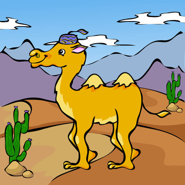Funny camel in desert