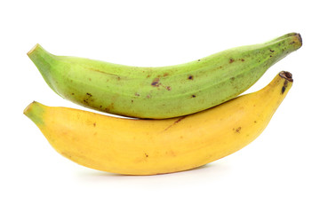 Kochbananen © photocrew