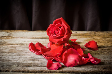 red rose on the wood