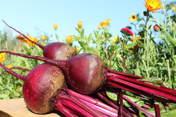 Beets