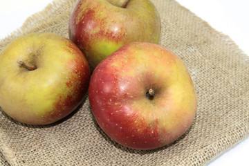 pomme boskoop