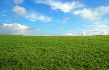 Wiese mit Wolken Naturlandschaft
