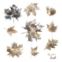set of silhouettes of maple leaves in watercolor, vector