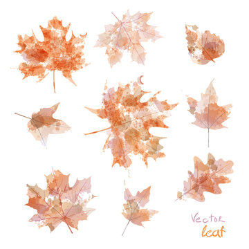 set of silhouettes of maple leaves in watercolor, vector