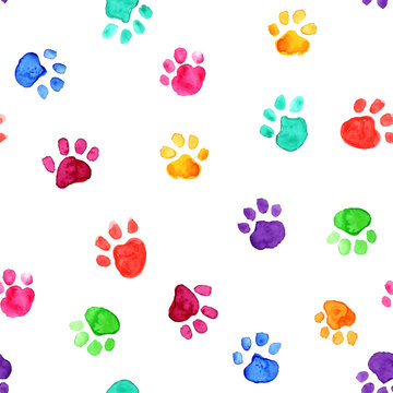 Watercolor illustration with animal footprints