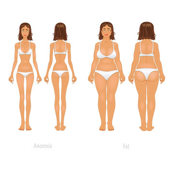 Vector illustration of different  body types, set