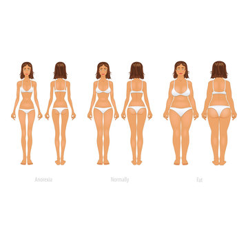 Vector illustration of different  body types, set