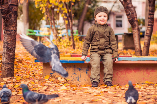 boy looking on flying birds at fall playground yard