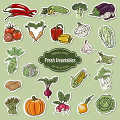Vector collection of icons vegetables