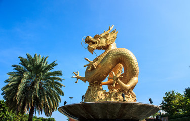 Gold chinese dragon of thailand