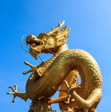 Gold chinese dragon of thailand