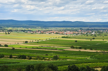 Fototapeta na wymiar Gemeinde Oslip im Burgenland dahinter Leithagebirge