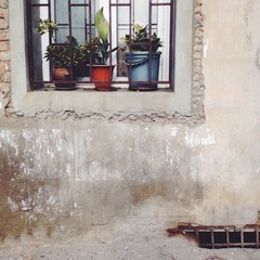 окна города