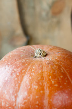 top of the pumpkin