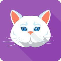 Vector white british Cat icon flat design