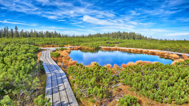 Lovrenc lakes, Slovenia, HDR