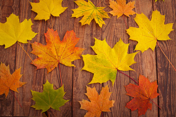 Autumn leaves on wooden table.