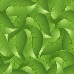 Seamless background from leaves, a vector illustration