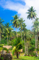 Obraz na płótnie Canvas Exotic Paradise Green View