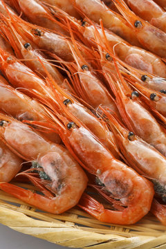 アマエビ　Small shrimp