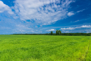 Nobody Outside Scenic View