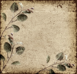Old background with leaves
