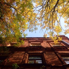 осень в городе