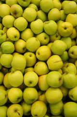 Viele Golden Delicious Äpfel zum Verkauf