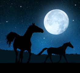 Silhouette of a horses in the night sky with the moon.