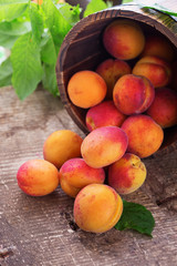 Fresh apricots