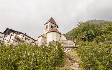 Meran, Südtirol, Sankt Peter, Kapellensteig, Herbst, Italien