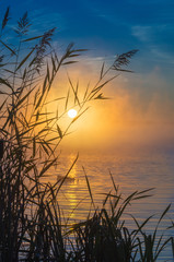 морозное утро на озере © 7ynp100