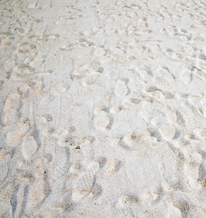 sand