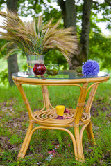 container with  green sprouts on tableand yellow shoes