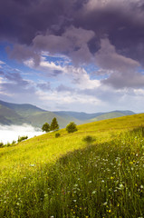 evening mountain plateau landscape (Carpathian, Ukraine)