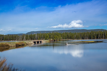Obraz premium Yellowstone National Park